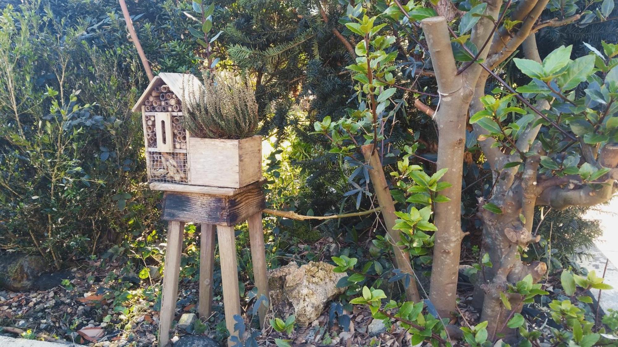 Casa Iriana - Parking Gratis I Jardin I Barbacoa Villa Ourense Eksteriør billede