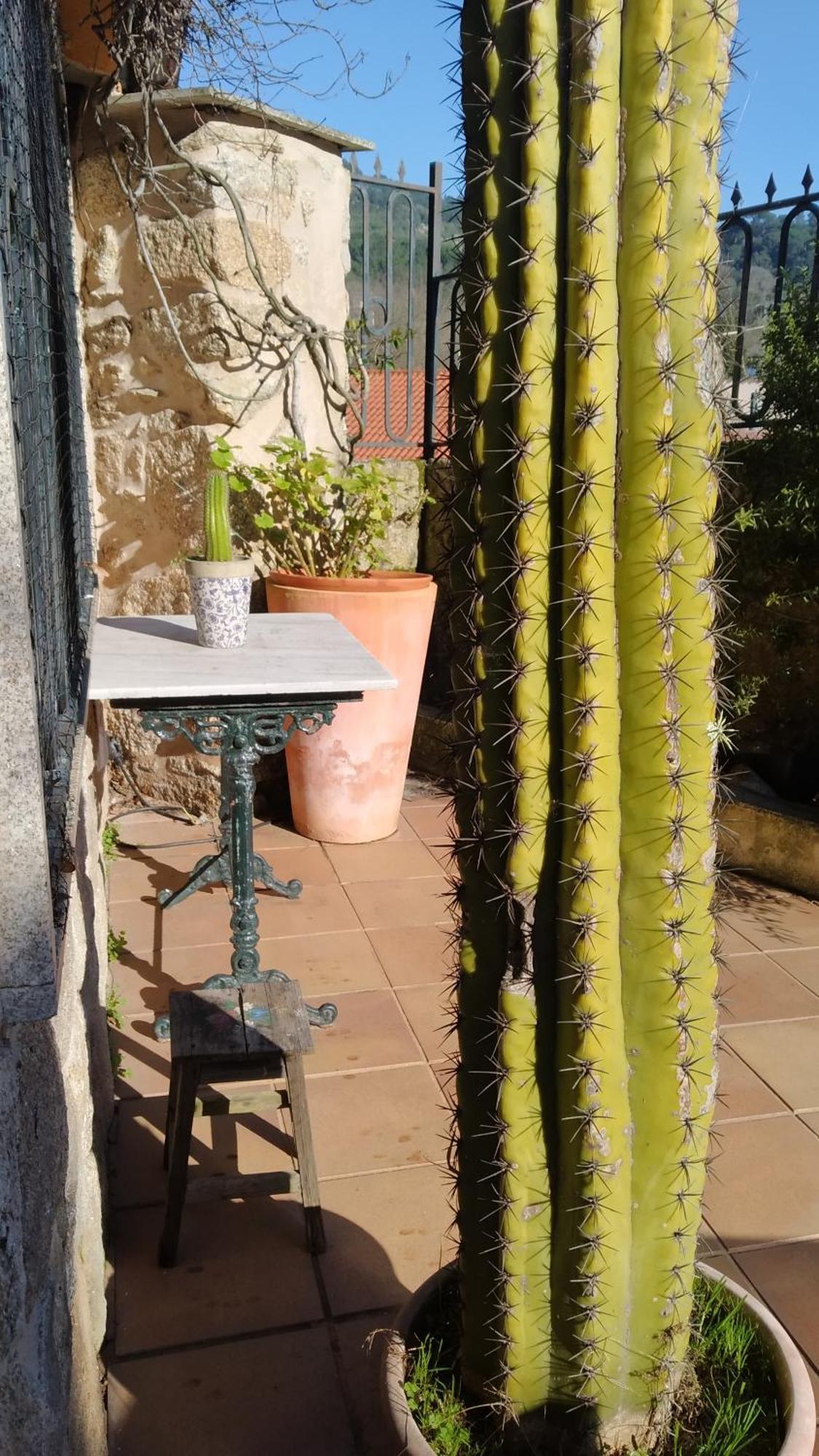 Casa Iriana - Parking Gratis I Jardin I Barbacoa Villa Ourense Eksteriør billede